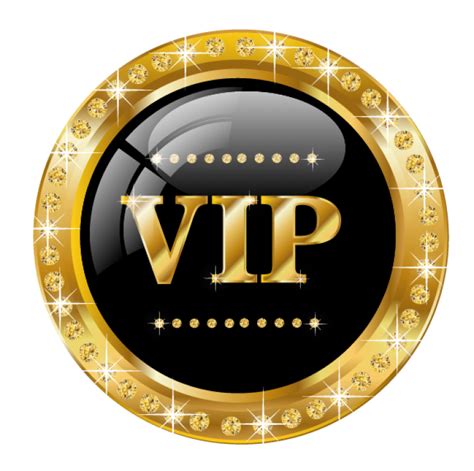 VIP logo template — Stock Vector © ElenaBaryshkina #157324352