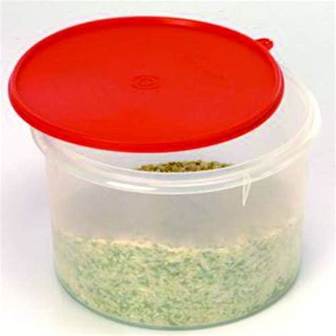 Buy Tupperware Plastic Super Storer 3 Litre,Red Online at Low Prices in ...