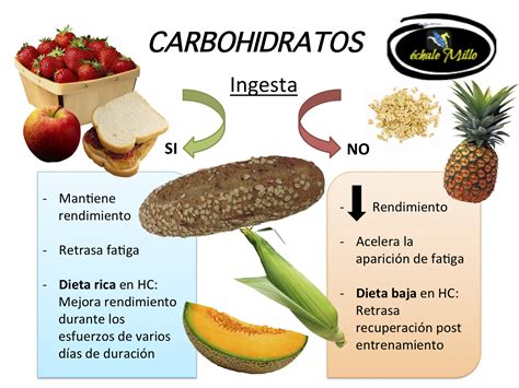 ¿QUÉ TIPO DE CARBOHIDRATOS SE DEBEN DE TOMAR PARA EL ENTRENAMIENTO ...
