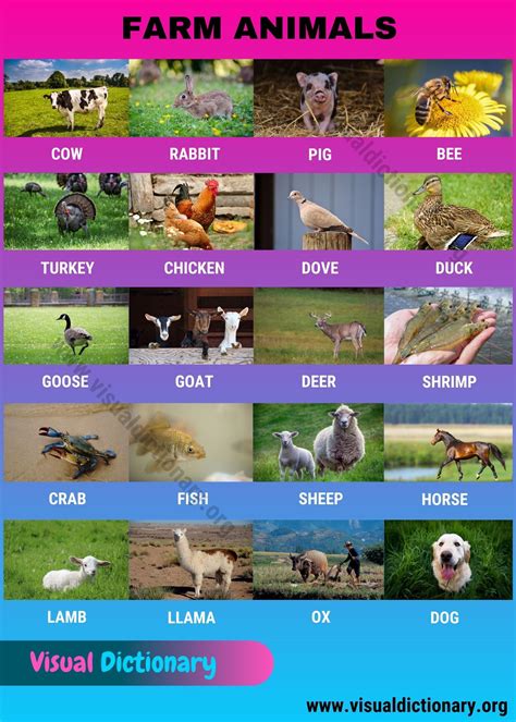 Useful animals