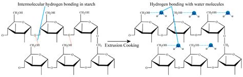 The Impact of Extrusion Cooking on the Physical Properties, Functional ...