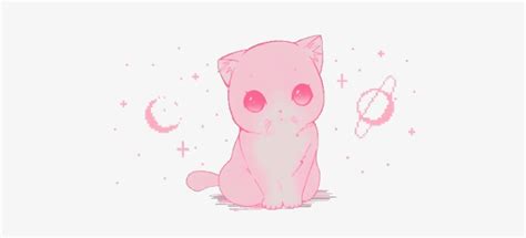 Image result for Cat Taking Using Computer