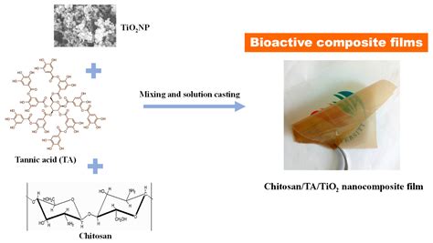 Tannic-Acid-Cross-Linked and TiO2-Nanoparticle-Reinforced Chitosan ...