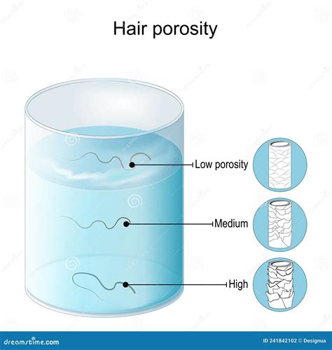 Hair Porosity Test at Joseph Dearth blog