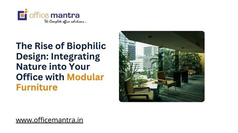Biophilic Office Design: Nature Meets Modular Furniture