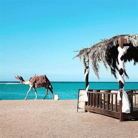 7 WORLD TRAVEL (2026) All You Need to Know BEFORE You Go (with Photos ...