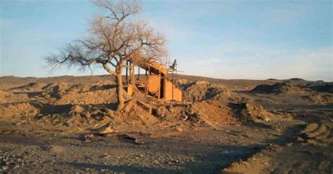 Ethnic Mongolian Activist Lodges Formal Complaint Over 'Tiger Bench ...