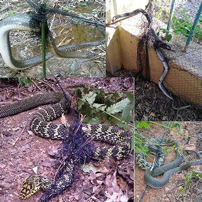BUAKAW-X Snake Trap Anti Snake Netting Effectively India | Ubuy