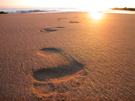 Free Footsteps on the sand Stock Photo - FreeImages.com