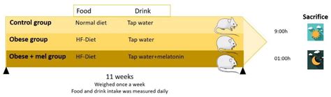 Effect of Melatonin on Redox Enzymes Daily Gene Expression in Perirenal ...