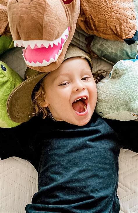 Image result for Pillow Pets Collection