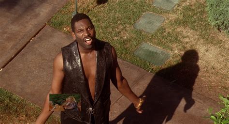 Image result for Fetch Scruff