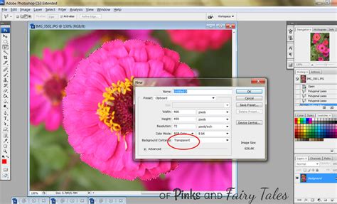 Image result for Tutorial for Extraction Is Photoshop CS6