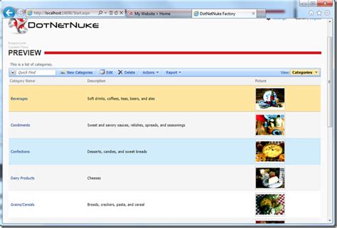Image result for DotNetNuke Developer