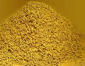 Lanco Spices - Specialist house of Indian turmeric and certified ...