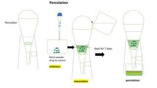 Percolation Extraction Process 的图像结果