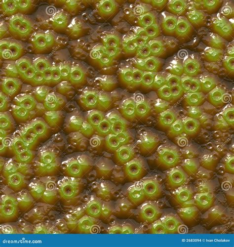 Microscopic plant cells stock photo. Image of growth, green - 2683094