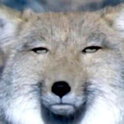 Buy Food Fortunes Card Deck (Gifts for Foodies, Food Lover Gifts, Funny ...