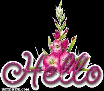 Image result for Hello