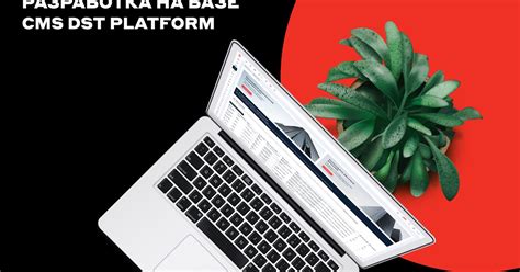 Разработка на базе CMS DST Platform — Teletype