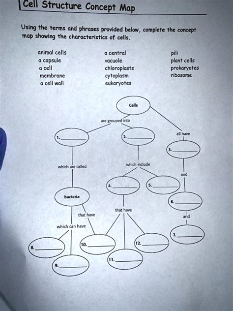 Cell Structure Concept Map 的图像结果