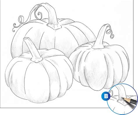 Pumpkin Patch Drawing
