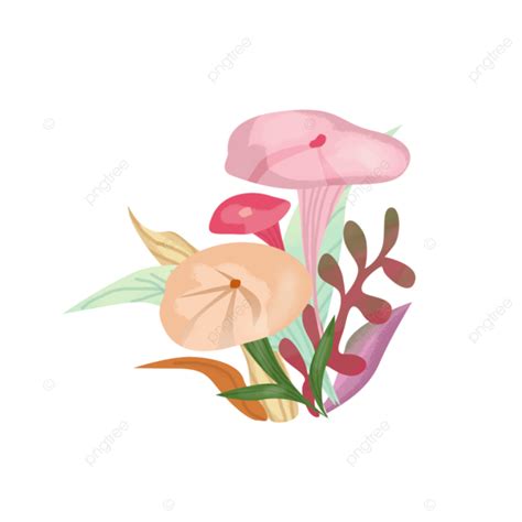 Image result for Source File Python Image