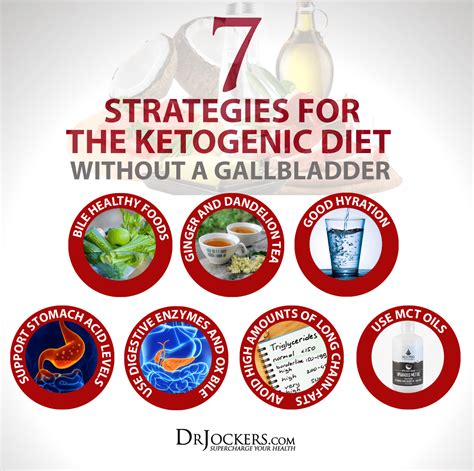 15 Ways How to Make Perfect Keto Diet without Gallbladder – Easy ...