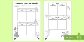 Plants and Animals Needs Worksheet