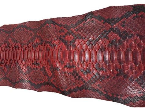 Leather Work Snake Skin 的图像结果