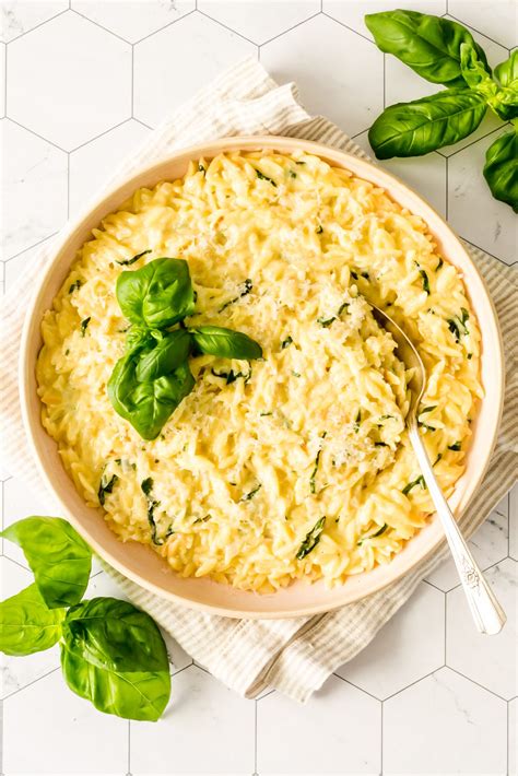 Creamy Orzo Pasta Recipes