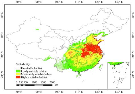 Habitat Distribution Pattern of Rare and Endangered Plant Magnolia ...