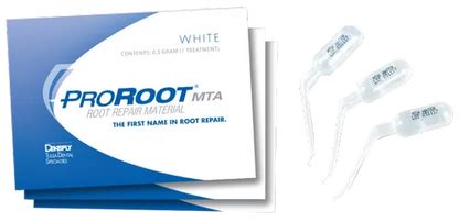 Dentsply Proroot MTA 0.5 Gm