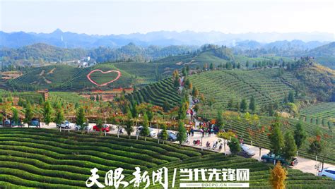 贵州这255个地方要成省级特色村寨，看看凤冈有几个村？_东南州