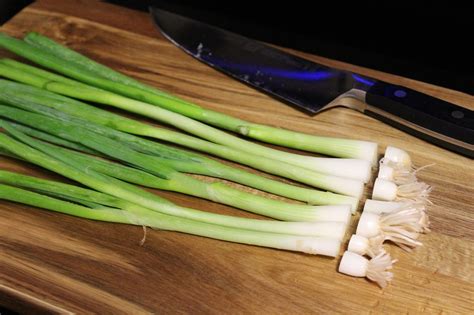 How to Store Green Onions to Keep Them Fresh | Regrow green onions ...