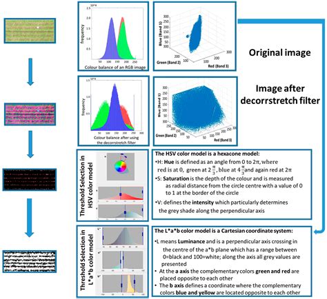 Digital Counts of Maize Plants by Unmanned Aerial Vehicles (UAVs)