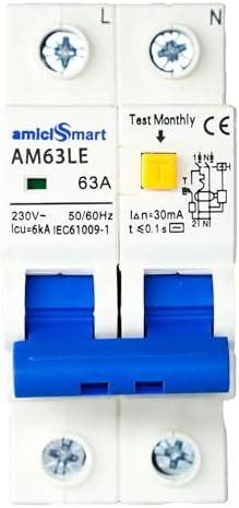 amiciSmart RCBO 63A Single Phase Circuit Breaker with Leakage/Lightning ...