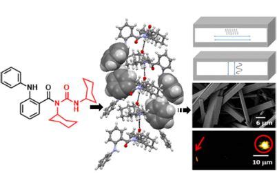 Prof. Debasish Haldar/publications/iiser kolkata/DCS/Faculty/chemistry