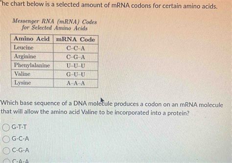 Image result for RNA Codons