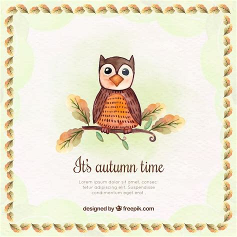 Acquerello gufo sfondo con cornice decorativa | Vettore Gratis