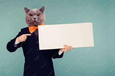 Abstract modern collage. the man with the head of funny cat with orange ...
