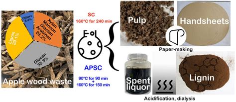 Production of Cellulose Pulp and Lignin from High-Density Apple Wood ...