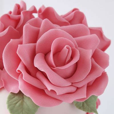 Image result for Roses Using Gum Paste Tutorial