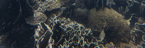 Learn OW Diver Course E-learning in Koh Kood with PADI 5 Star Dive ...