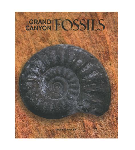 Alien Fossils 的图像结果