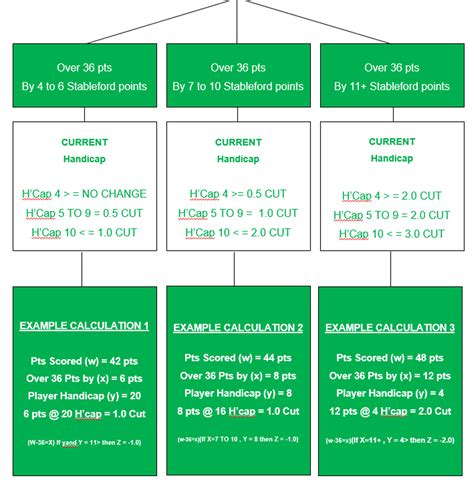 Golf Playing Handicap