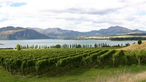 Amisfield, Queenstown - TimesTravel