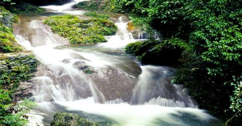 Gudong Waterfall Scenic Area Ticket in Guilin, China - Klook India