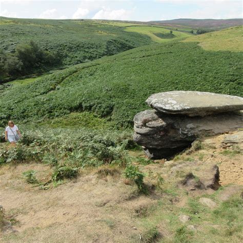 Thruscross Reservoir (2026) - All You MUST Know Before You Go (with ...
