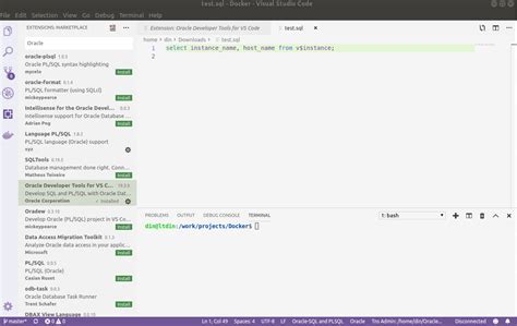 Oracle Developer Vscode JDBC Connection 的图像结果
